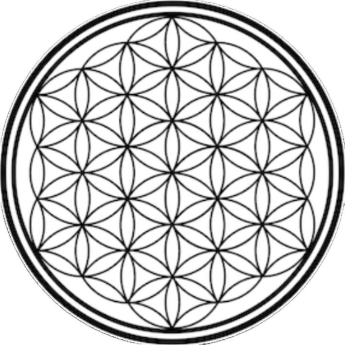 Flower Of Life - Guest House Λούξορ Εξωτερικό φωτογραφία